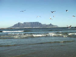 Blick auf Kapstadt und den Tafelberg