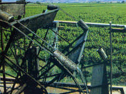 Die vielen Wasserräder in der Umgebung von Kakamas dienen zur Bewässerung des Landes