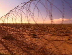 Speergbiet bei Port Nolloth